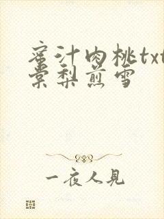 蜜汁肉桃txt棠梨煎雪