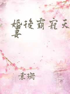 婚后霸宠天价小妻