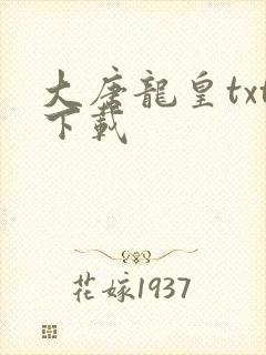 大唐龙皇txt下载