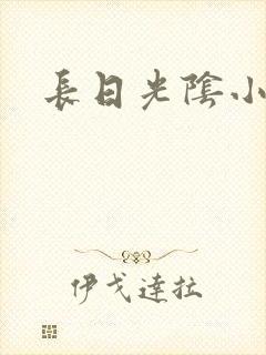 长日光阴小说