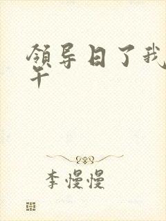 领导日了我一下午