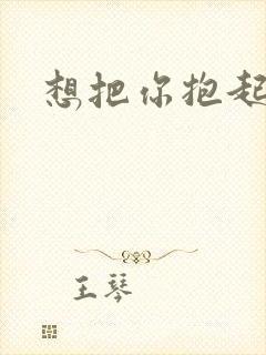 想把你抱起来撞