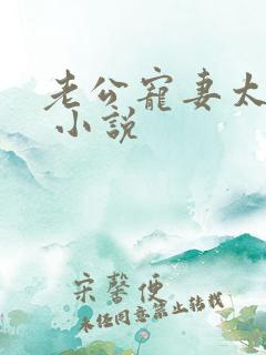 老公宠妻太甜蜜 小说