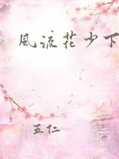 风流花少下载