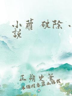 小萝 破除 小说