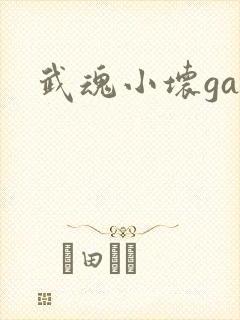 武魂小坏ga