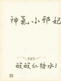 神气小邪妃