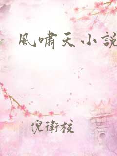 风啸天小说