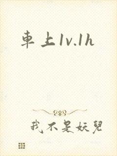 车上1v.1h