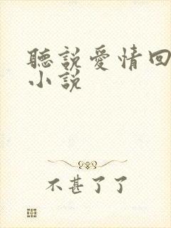 听说爱情回来过小说