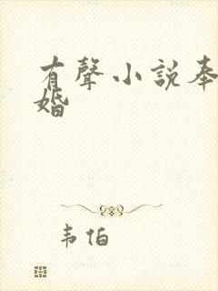 有声小说奉子成婚