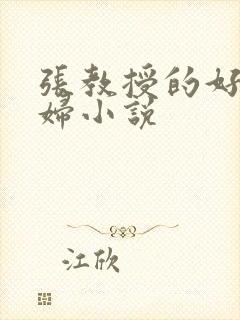 张教授的好儿媳妇小说
