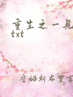 重生之一见倾心txt