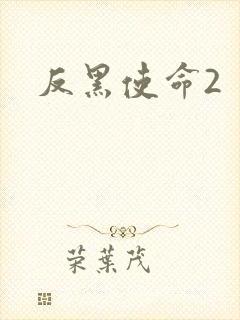 反黑使命2