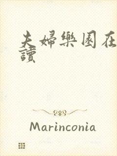 夫妇乐园在线阅读