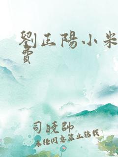 刘正阳小米多免费