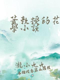 萧教授的花式教学小说
