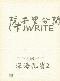 院子里公开惩戒(下)WRITE