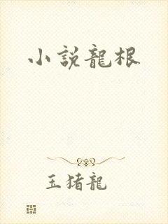 小说龙根