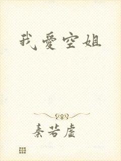 我爱空姐