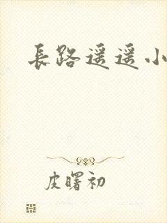 长路遥遥小说