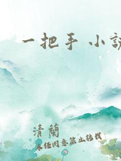 一把手 小说