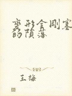 变形金刚塞伯坦的陨落