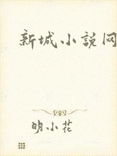 新城小说网