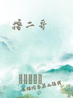 撸二哥