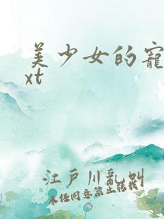 美少女的宠物txt