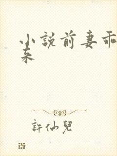 小说前妻乖乖回来