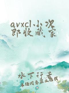 avxcl小次郎收藏家