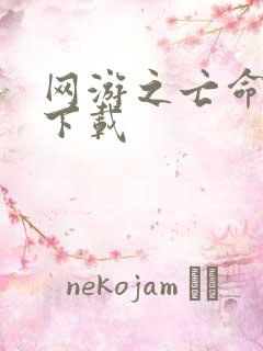 网游之亡命天涯下载