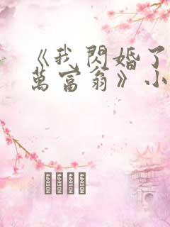 《我闪婚了个亿万富翁》小说