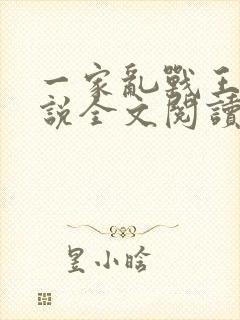 一家乱战王芳小说全文阅读