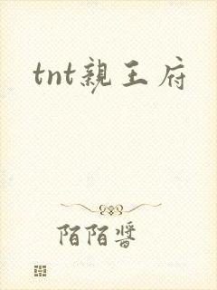 tnt亲王府