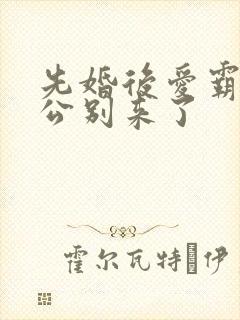 先婚后爱霸道老公别来了