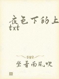 夜色下的上海滩txt