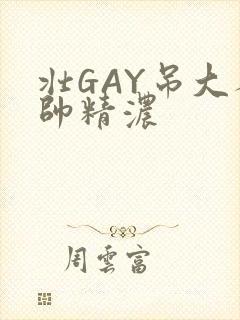壮GAY吊大人帅精浓