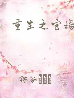 重生之官场风流