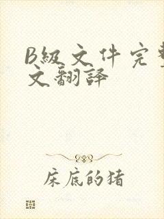B级文件完整中文翻译