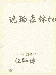 琥珀森林txt
