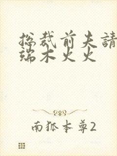 总裁前夫请自重端木火火