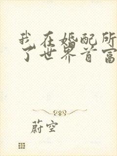 我在婚配所摇到了世界首富小说