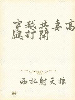 穿越共妻高肉双腿打开