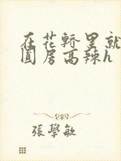 在花轿里就开始圆房高辣h