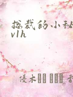 总裁的小秘书1v1h