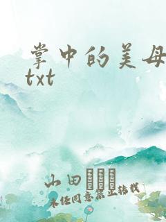 掌中的美母版主txt