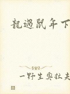 龙过鼠年下载