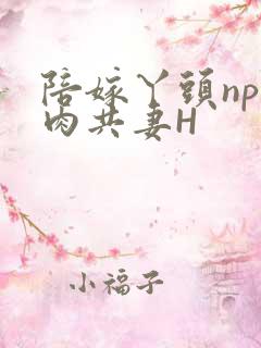 陪嫁丫头np全肉共妻H